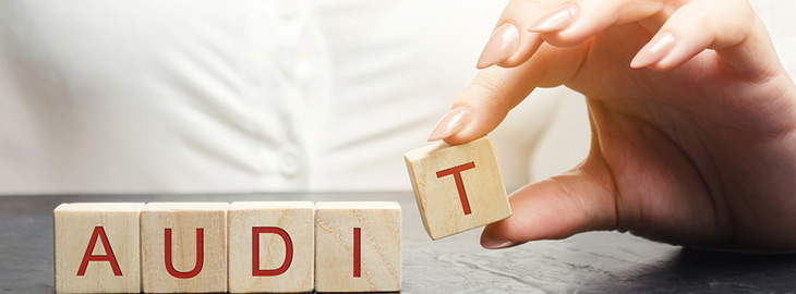 lady spelling the word 'Audit' with wooden blocks