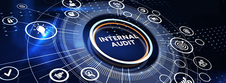 cybersecurity internal audit