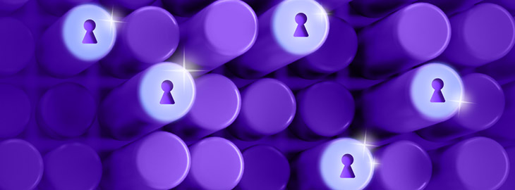 purple keyholes