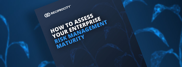 How to assess your enterprise risk management maturity