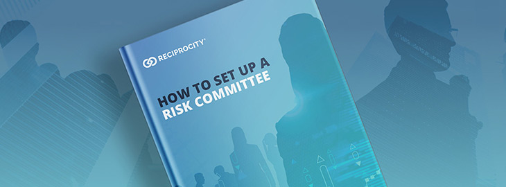 How to Set Up a Risk Committee book cover with risk management iconography