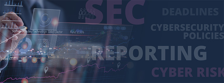 SEC cyber risk reporting