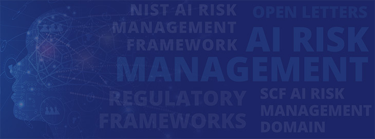 AI Risk Management